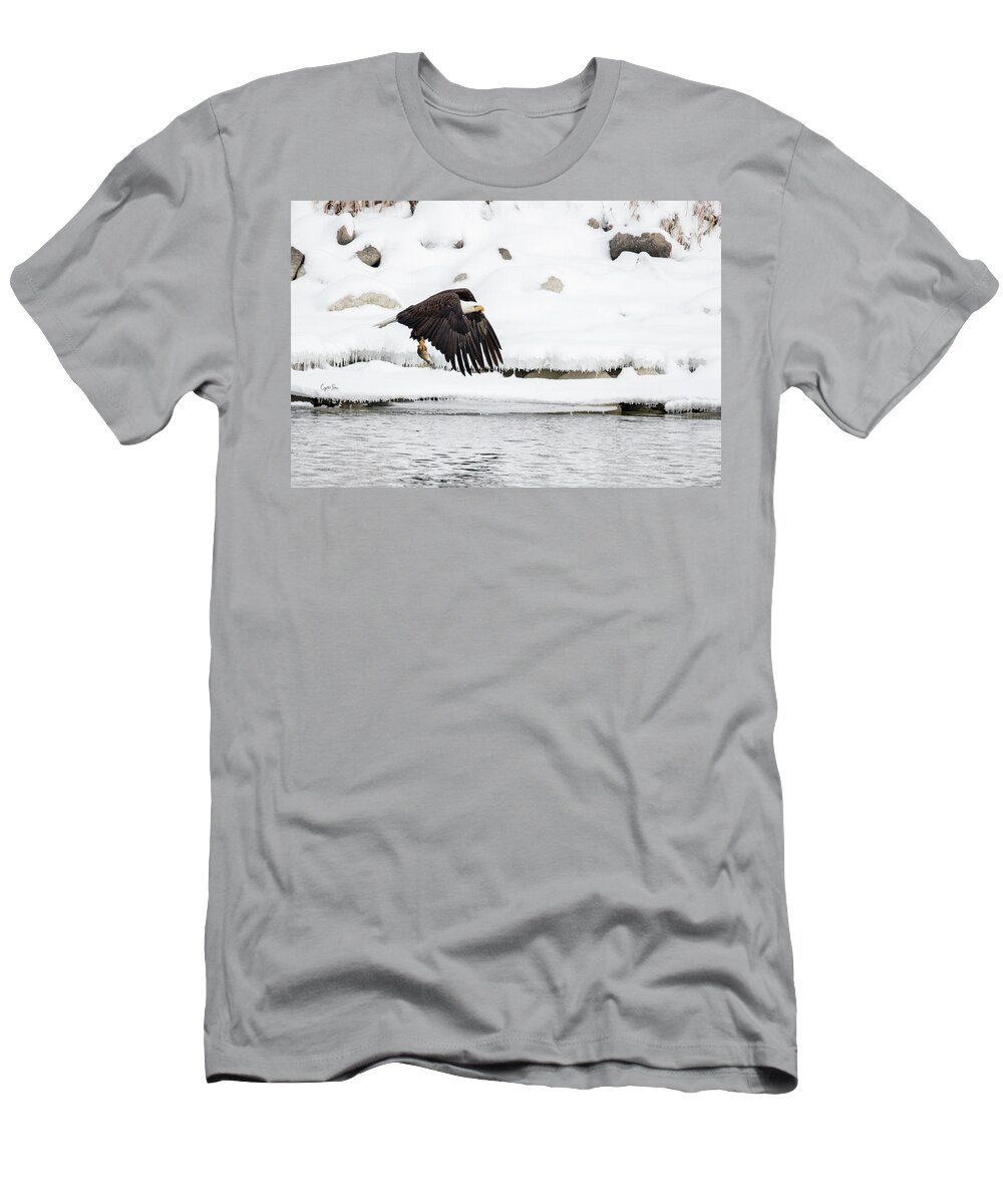 Eagle T-Shirt featuring the photograph Flying in snow by Crystal Socha