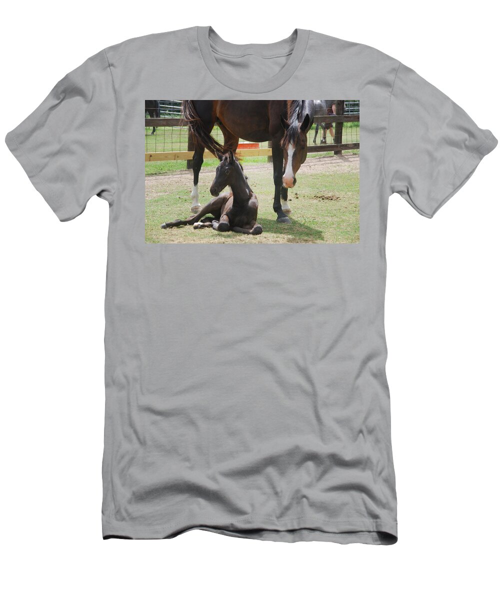 Foal T-Shirt featuring the photograph Foal 5 by Max Mullins
