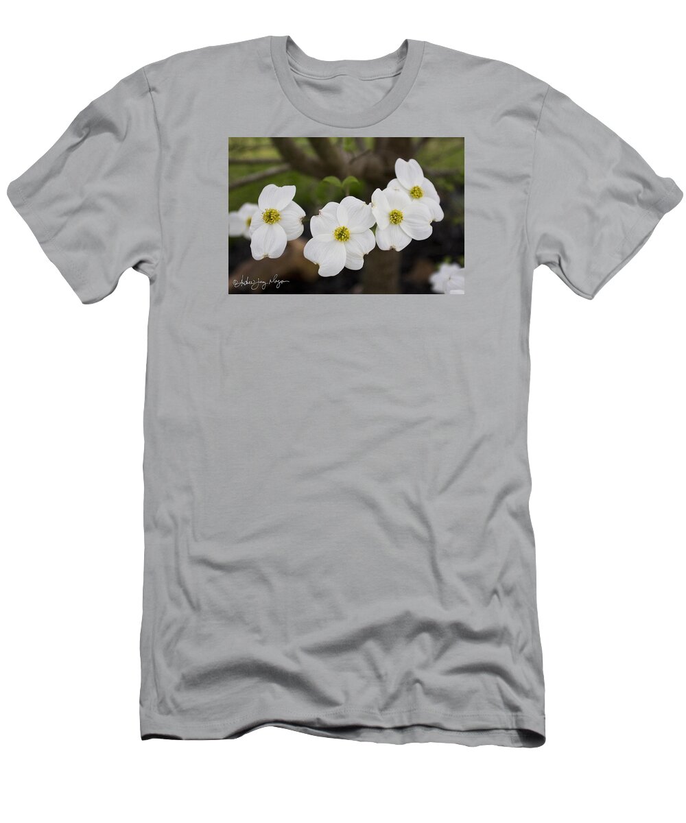 Dogwood T-Shirt featuring the photograph Four Dogwoods by Andrew Jay Mayon