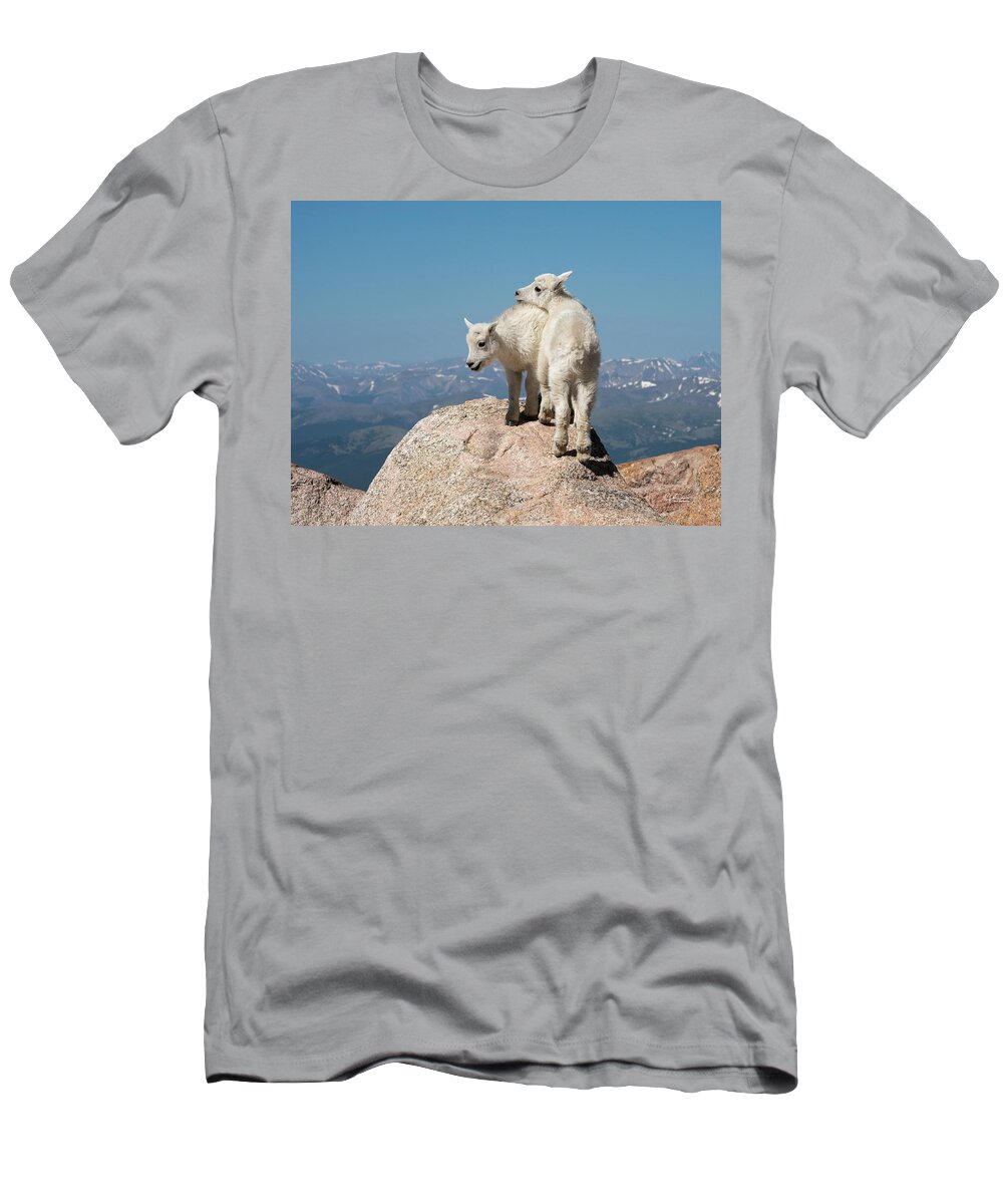 Mountain Goat T-Shirt featuring the photograph Frisky Mountain Goat Babies by Judi Dressler