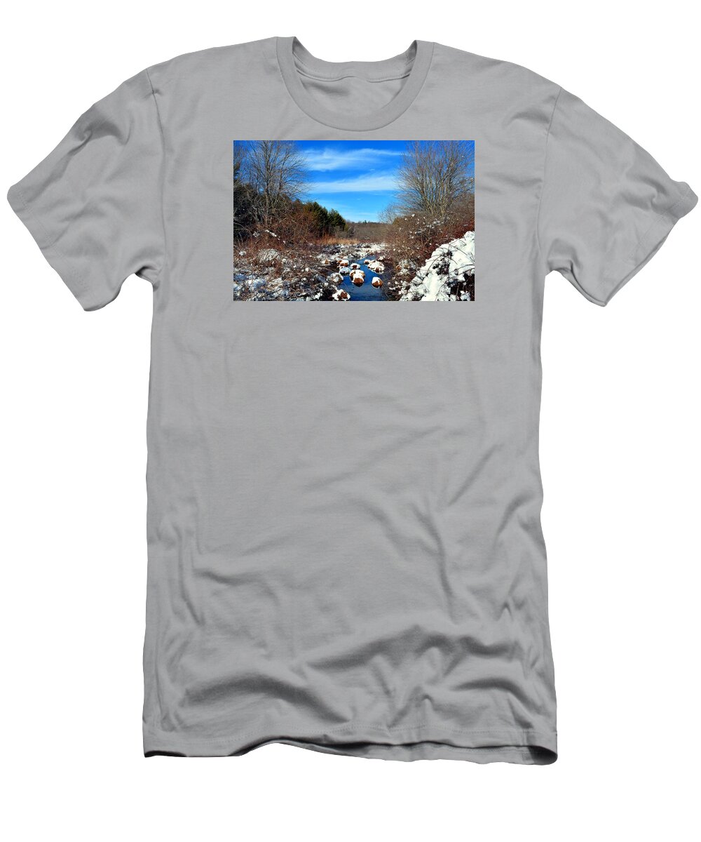 Snow T-Shirt featuring the photograph Frosted River Grass by Dani McEvoy