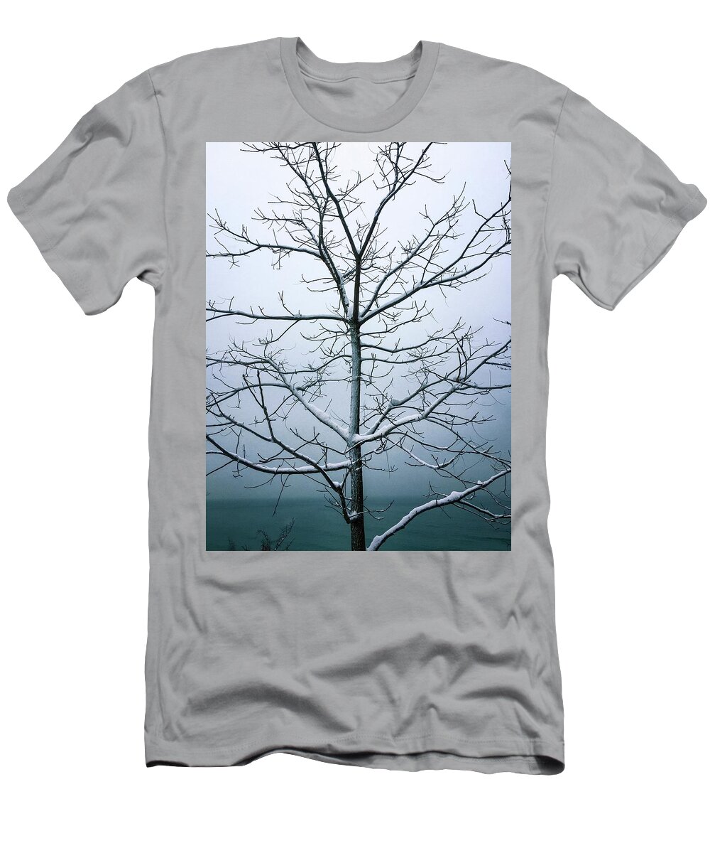 Lake T-Shirt featuring the photograph Frosted by Terri Hart-Ellis