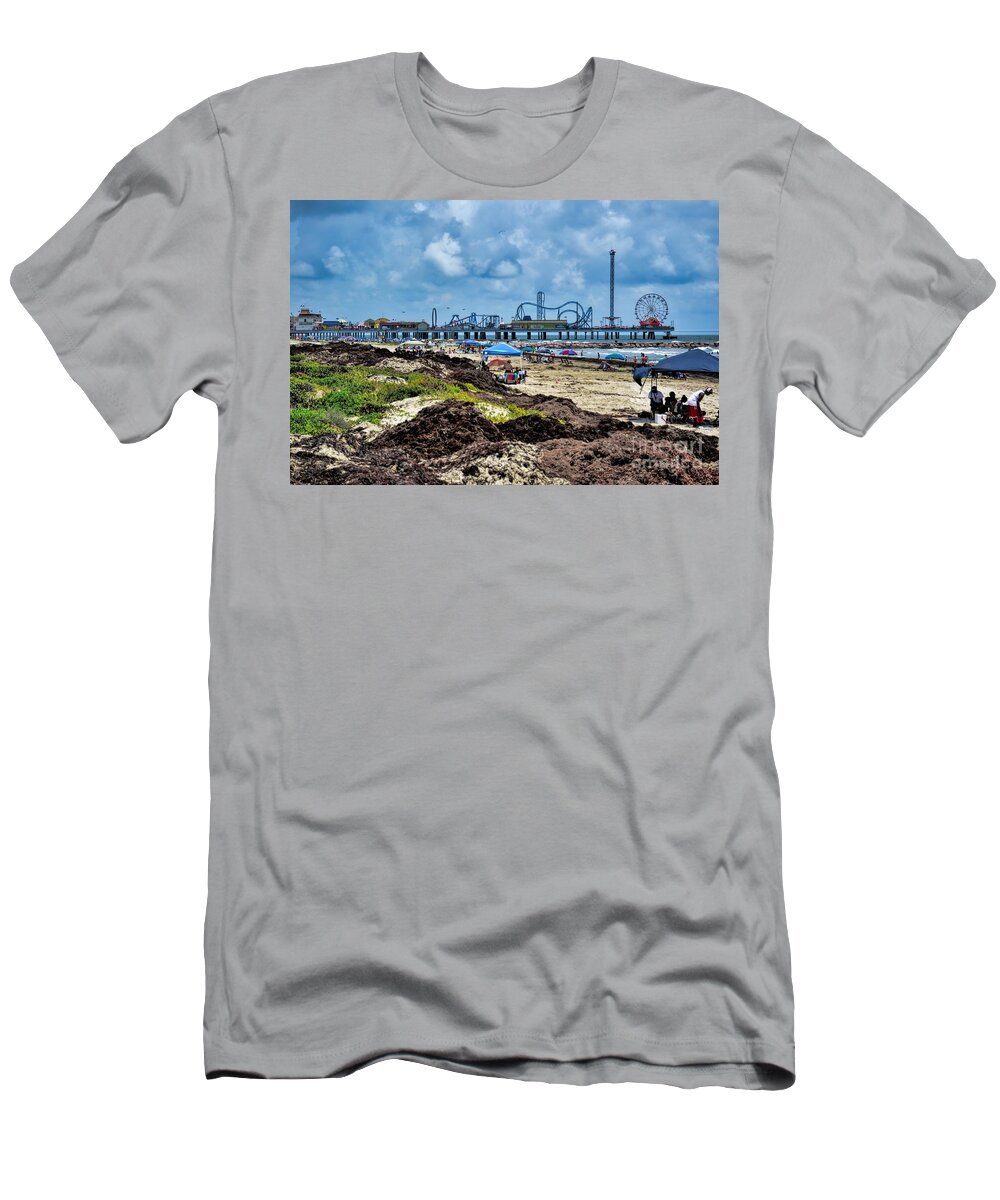 Landscape T-Shirt featuring the photograph Fun on the Beach by Diana Mary Sharpton