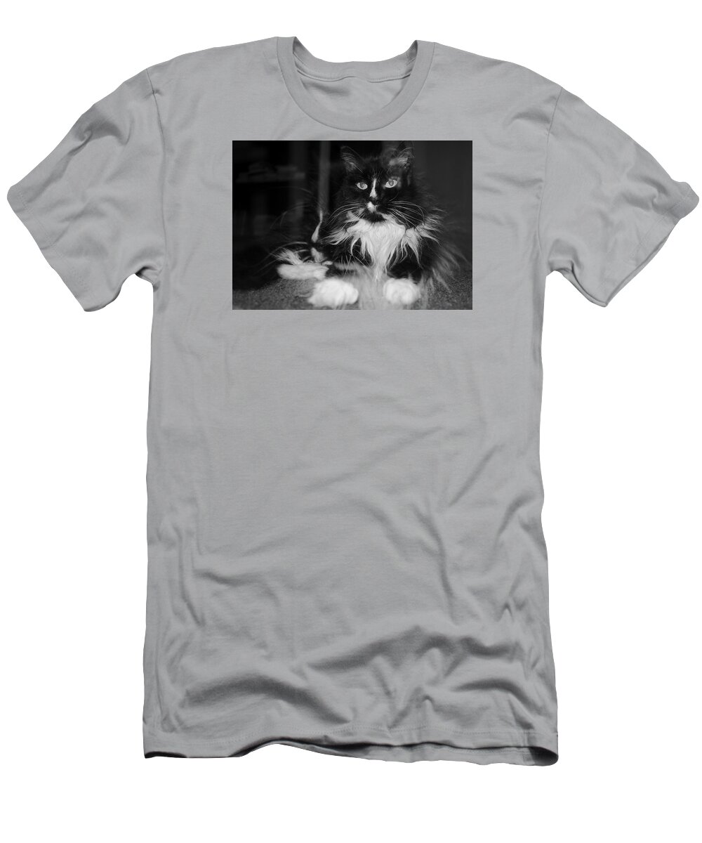 Adria Trail T-Shirt featuring the photograph Furry Feline by Adria Trail