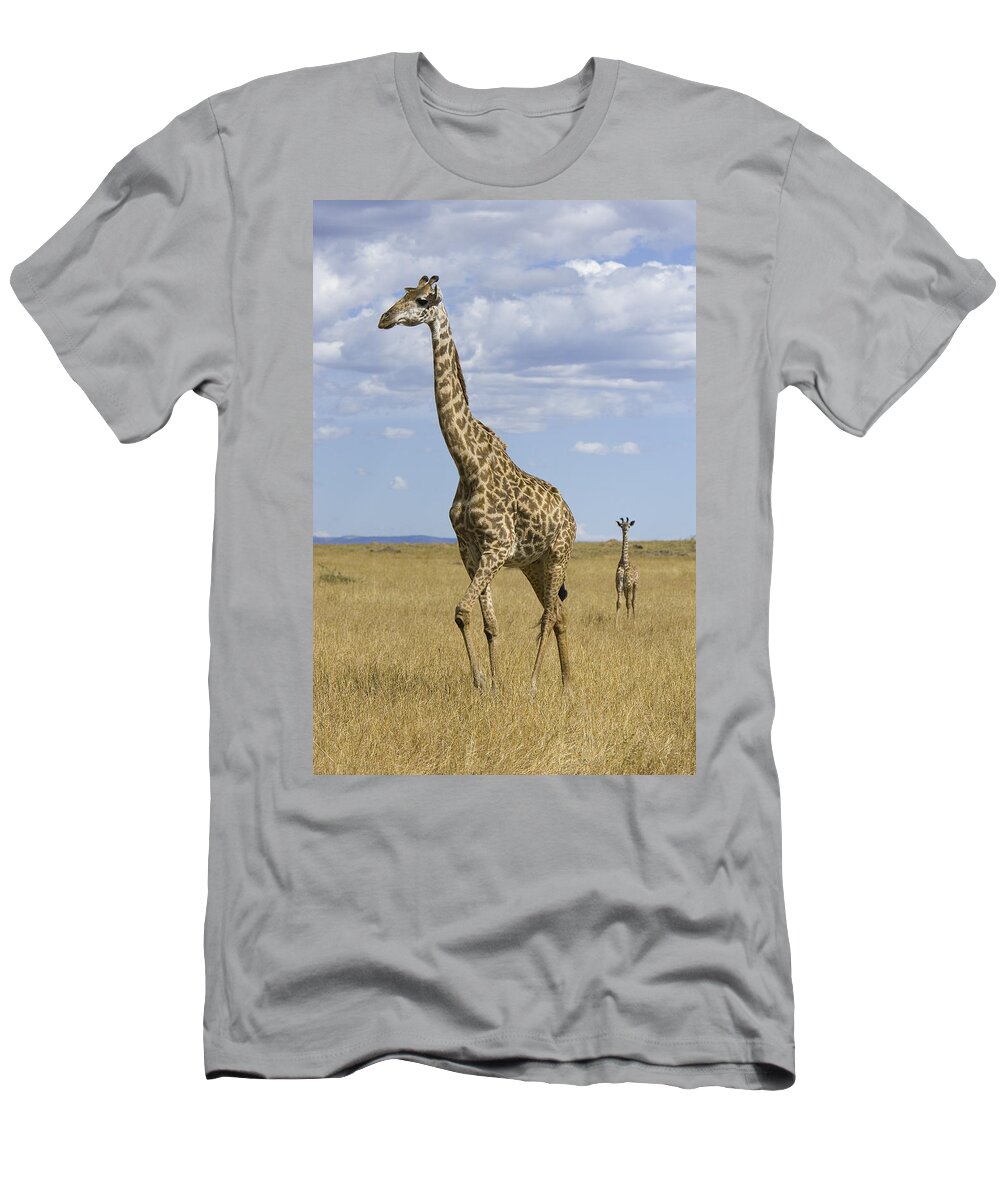 00784053 T-Shirt featuring the photograph Giraffe Mother And 3 Week Old Calf by Suzi Eszterhas