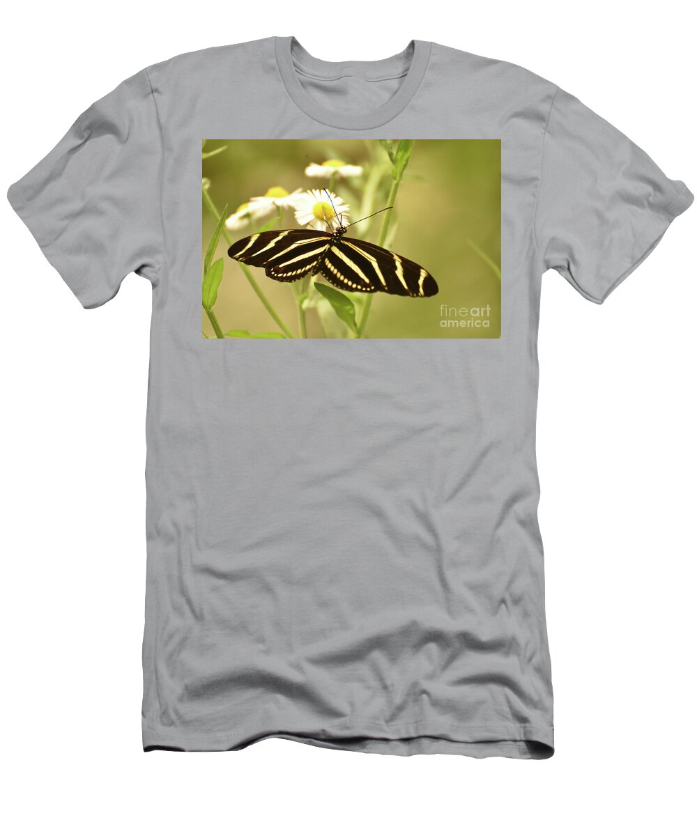 Zebra-butterfly T-Shirt featuring the photograph Gorgeous Zebra Butterfly in the Beautiful Sunlight by DejaVu Designs