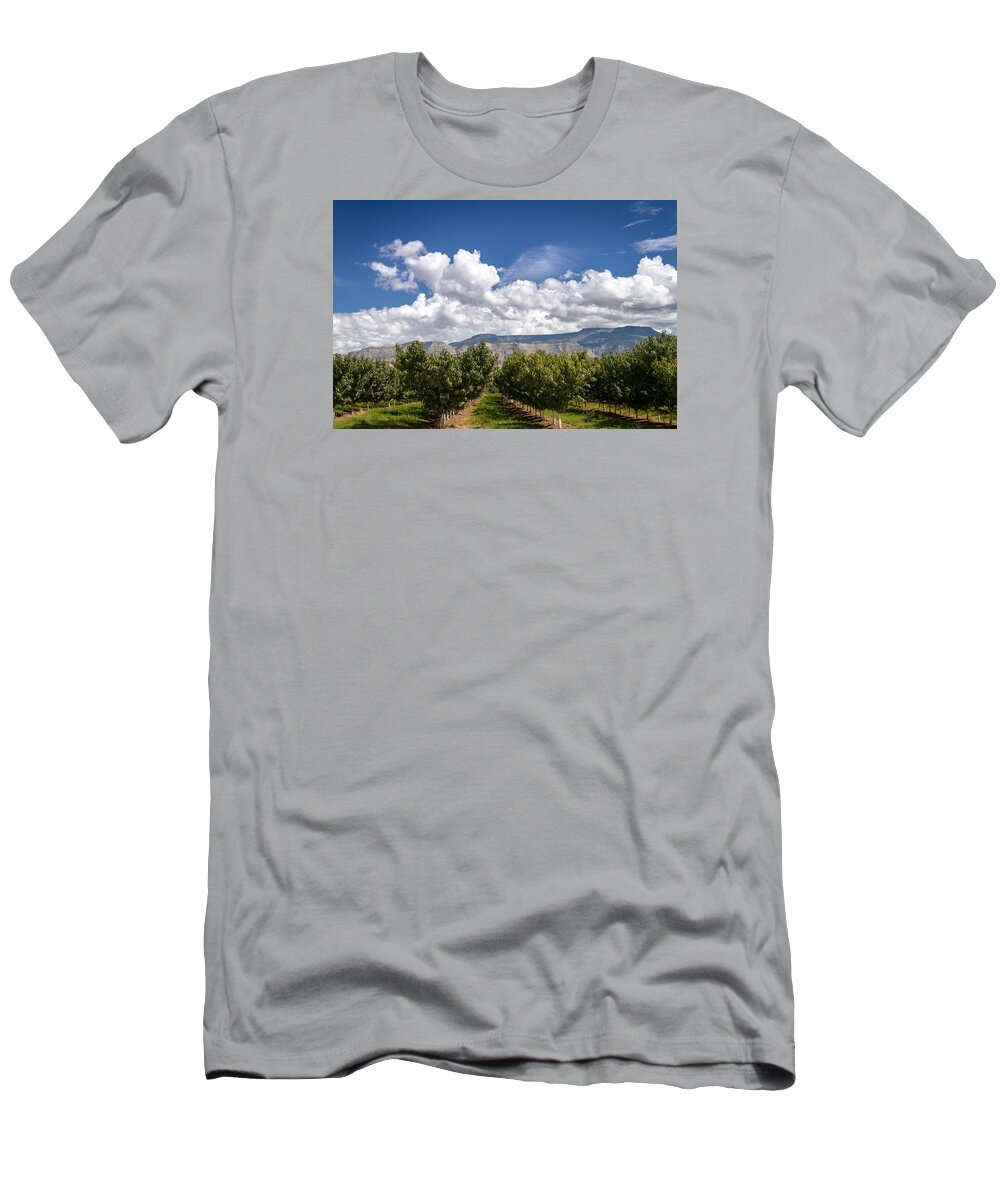 Colorado T-Shirt featuring the photograph Grand Valley Orchards by Teri Virbickis