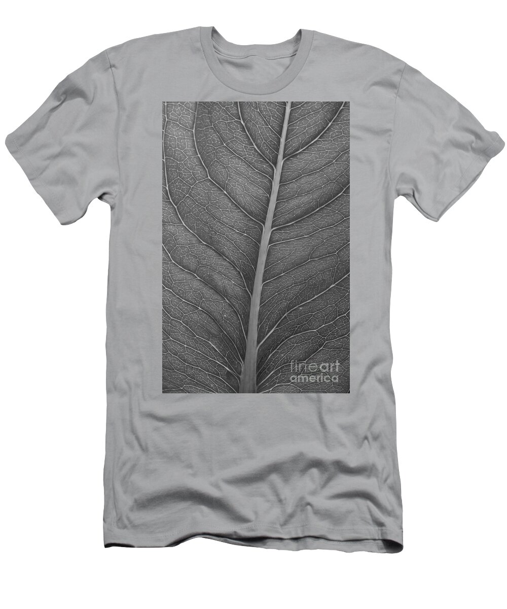 Black And White Leaf T-Shirt featuring the photograph Graphite Leaf by Anita Adams
