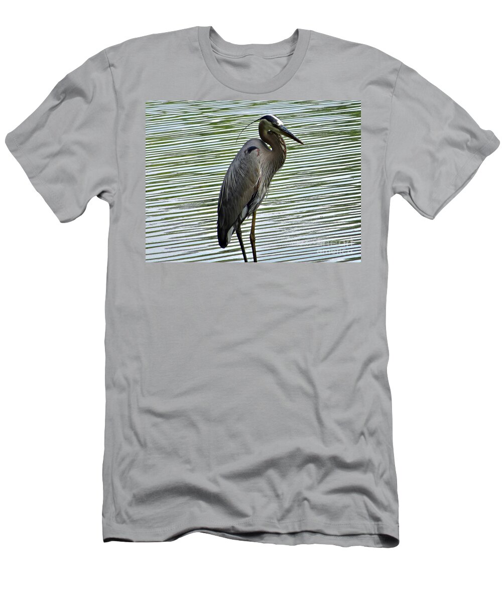 3 Star T-Shirt featuring the photograph Great Blue Heron at Wash. Crossing Park-021 by Christopher Plummer
