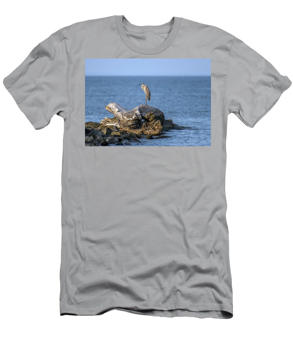 Great Blue Heron T-Shirt featuring the photograph Great Blue Heron on Chesapeake Bay by Patrick Wolf