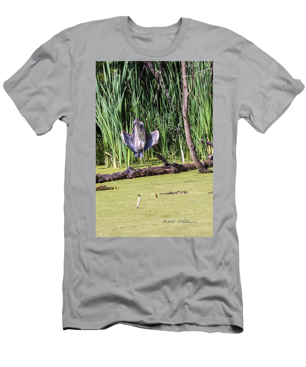 Great Blue Heron T-Shirt featuring the photograph Great Blue Heron Sunning by Ed Peterson