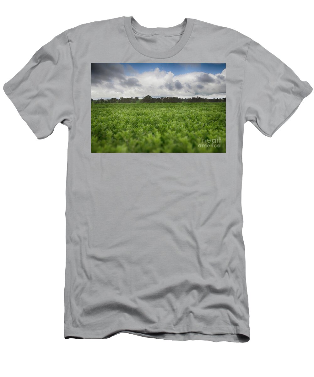 Green T-Shirt featuring the photograph Green Fields 4 by Douglas Barnard