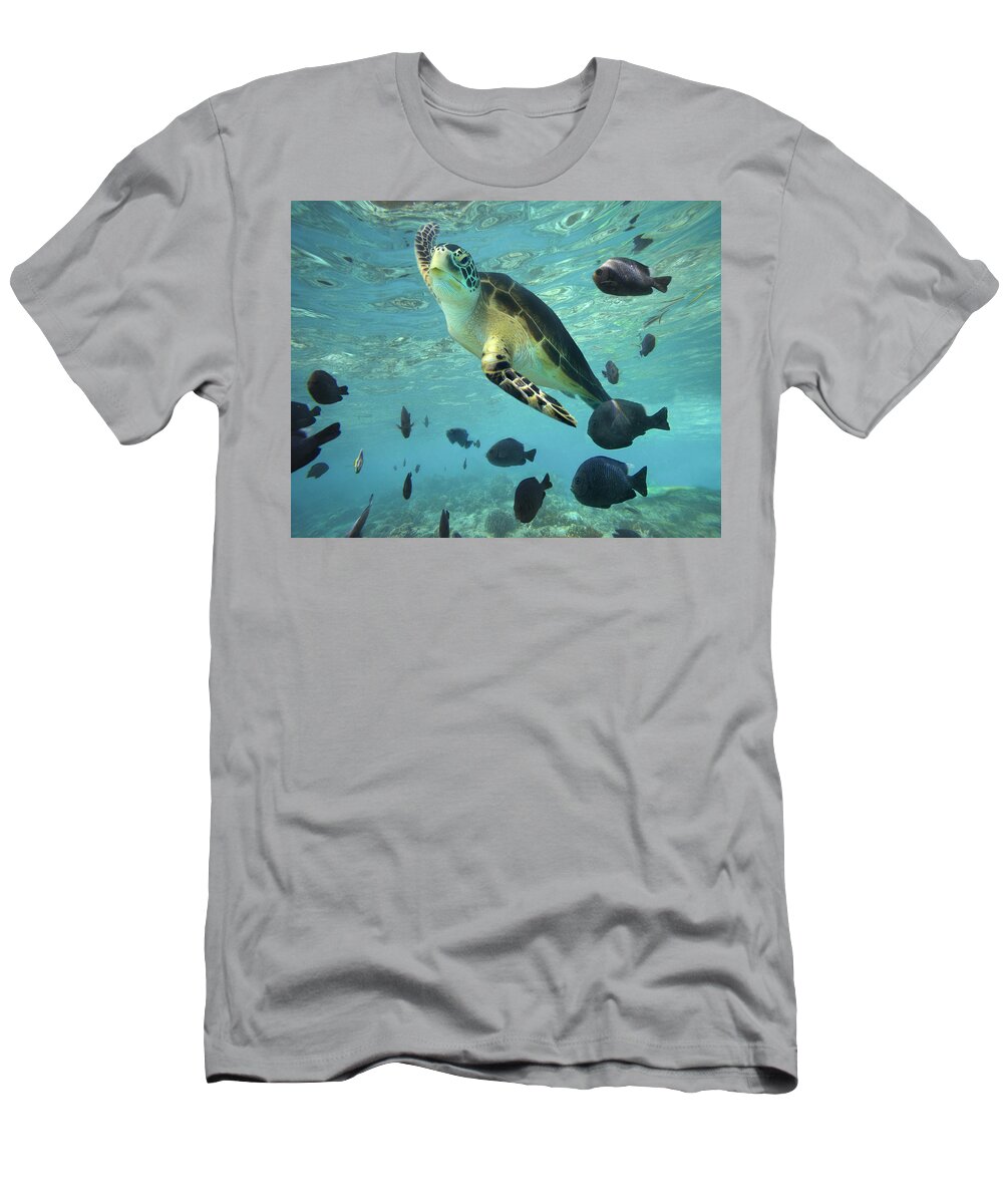 00451420 T-Shirt featuring the photograph Green Sea Turtle Balicasag Island by Tim Fitzharris