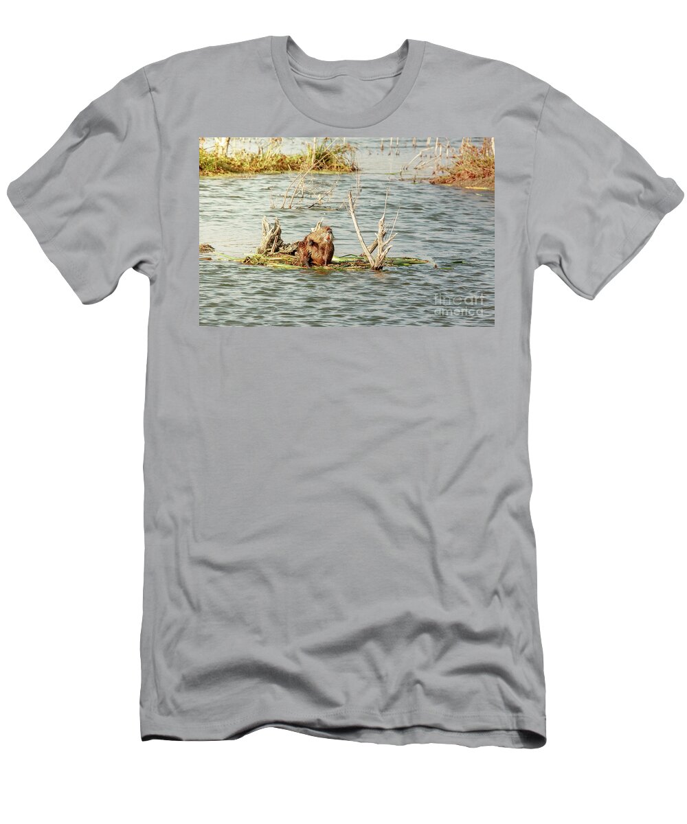 Animal T-Shirt featuring the photograph Grinning Nutria On Reeds by Robert Frederick