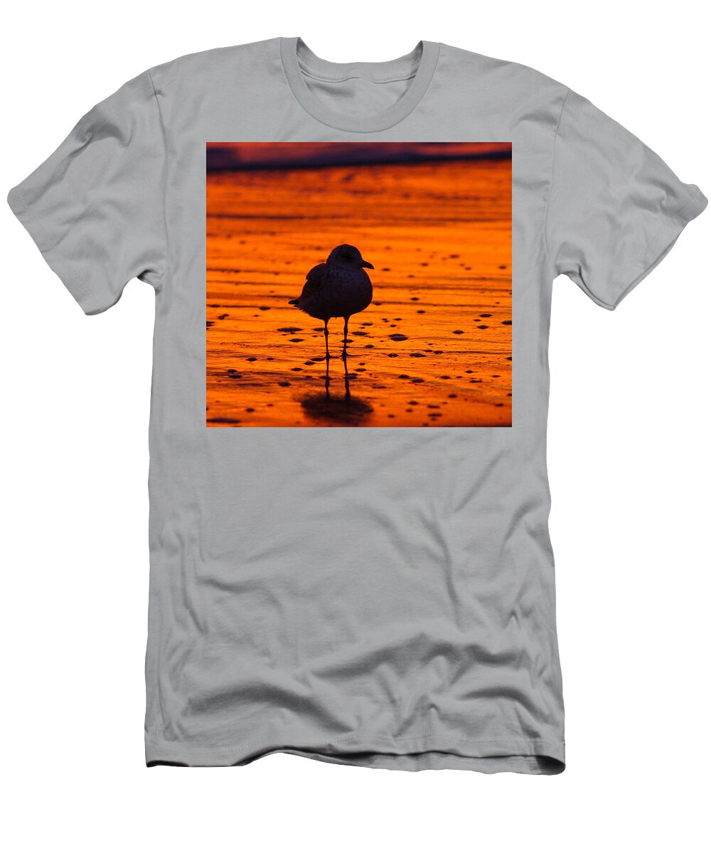 Great T-Shirt featuring the photograph Gull caught at sunrise by Allan Levin