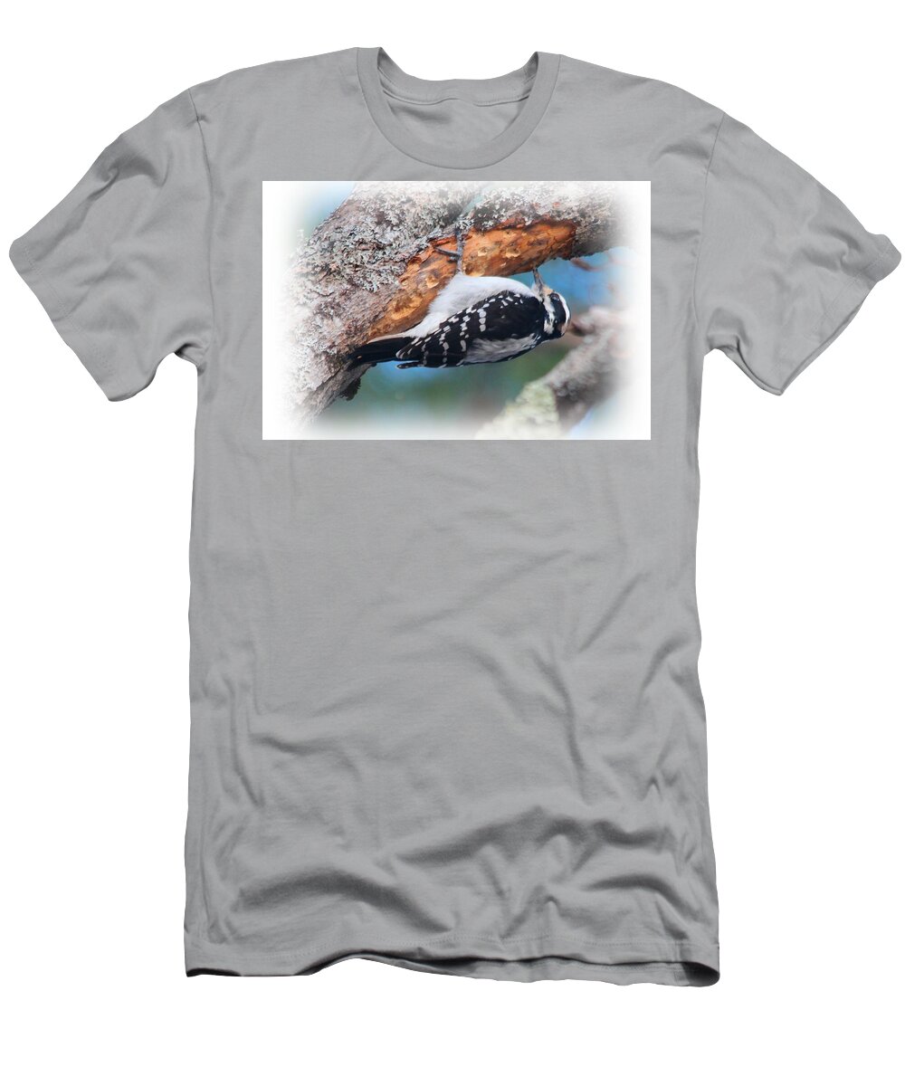 Woodpecker T-Shirt featuring the photograph Hairy Woodpecker 2 by Joseph Marquis