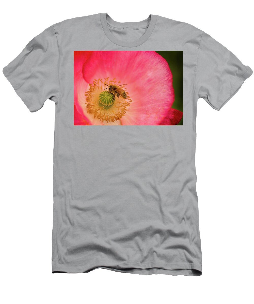 Bee T-Shirt featuring the photograph Happy Bee by Bob Cournoyer