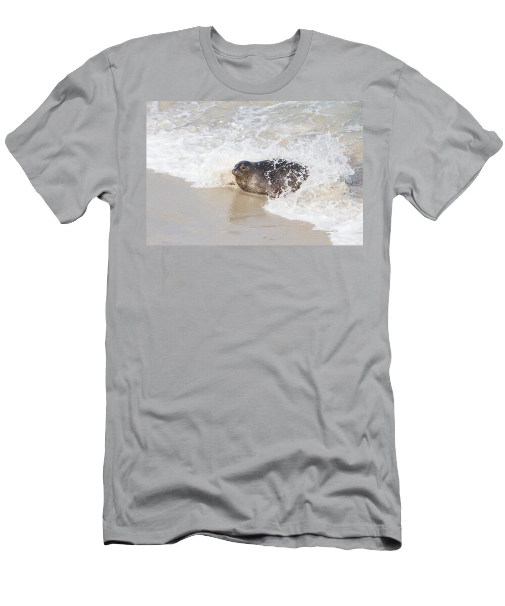 La Jolla T-Shirt featuring the photograph Harbor Seal by Paul Schultz