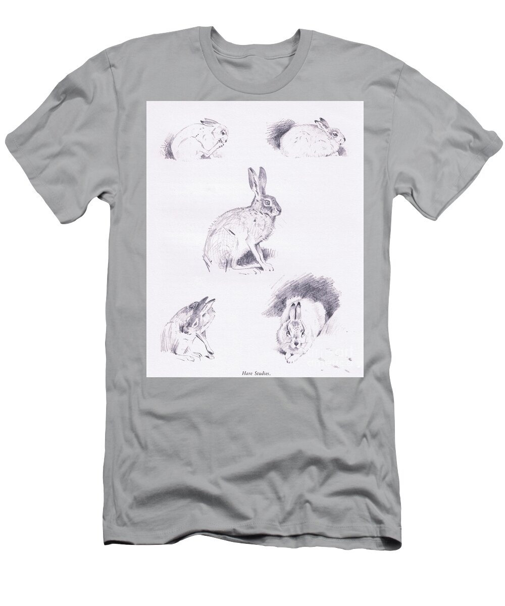 Hare T-Shirt featuring the drawing Hare studies by Archibald Thorburn