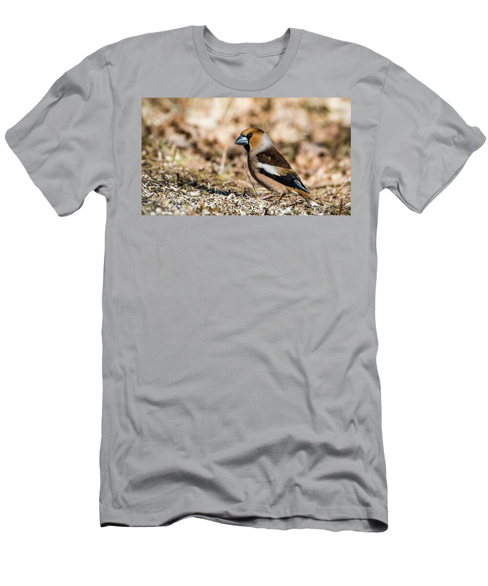 Hawfinch's Gaze T-Shirt featuring the photograph Hawfinch's gaze by Torbjorn Swenelius