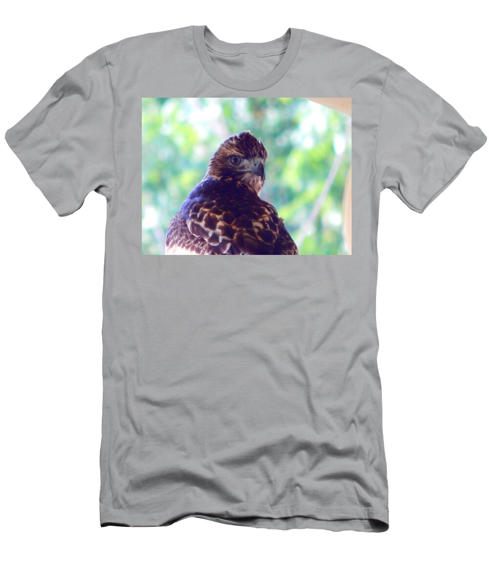 Hawk T-Shirt featuring the photograph Hawkeye by Virginia White
