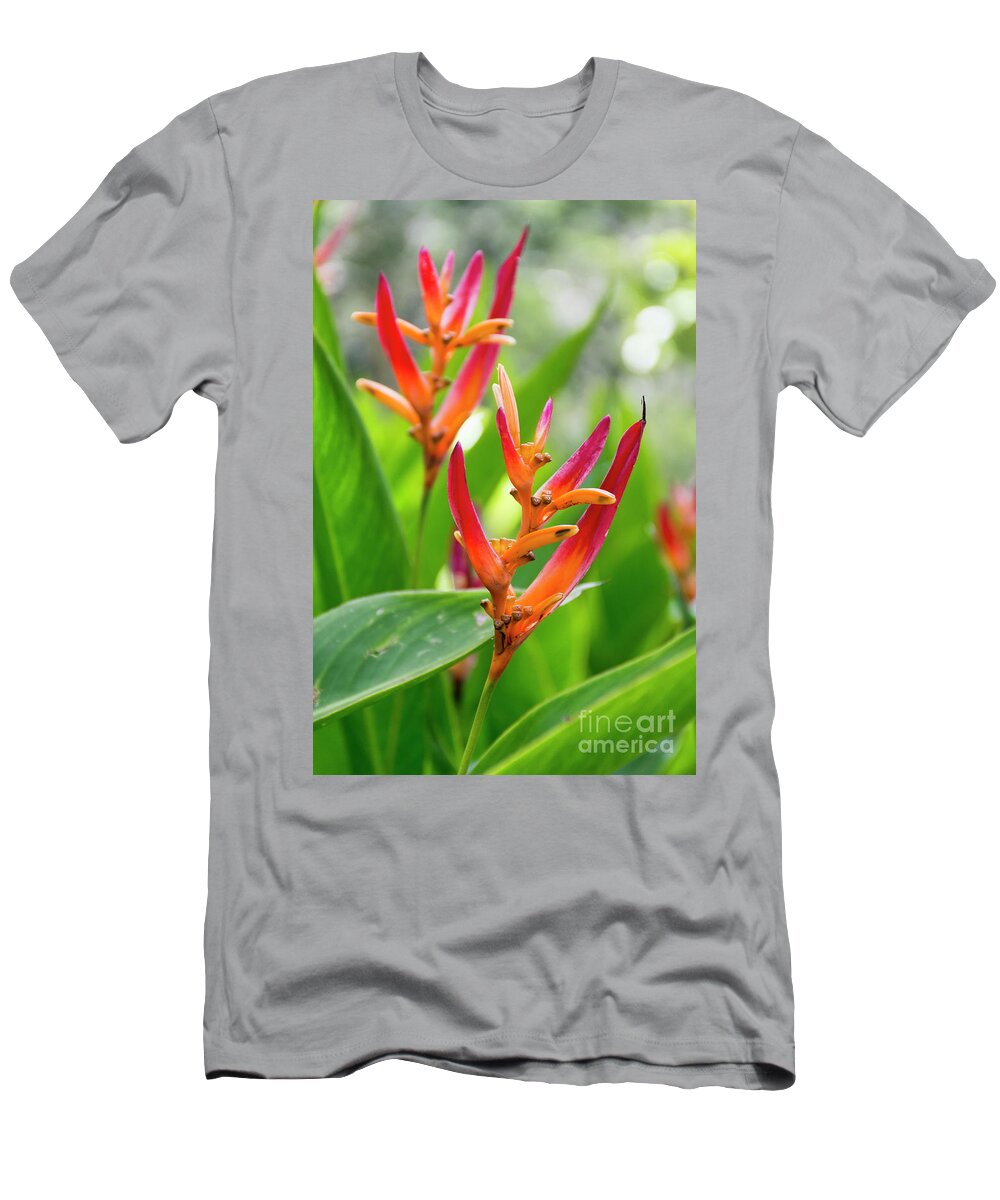 Heliconia T-Shirt featuring the photograph Heliconia Psittacorum by Eddie Yerkish