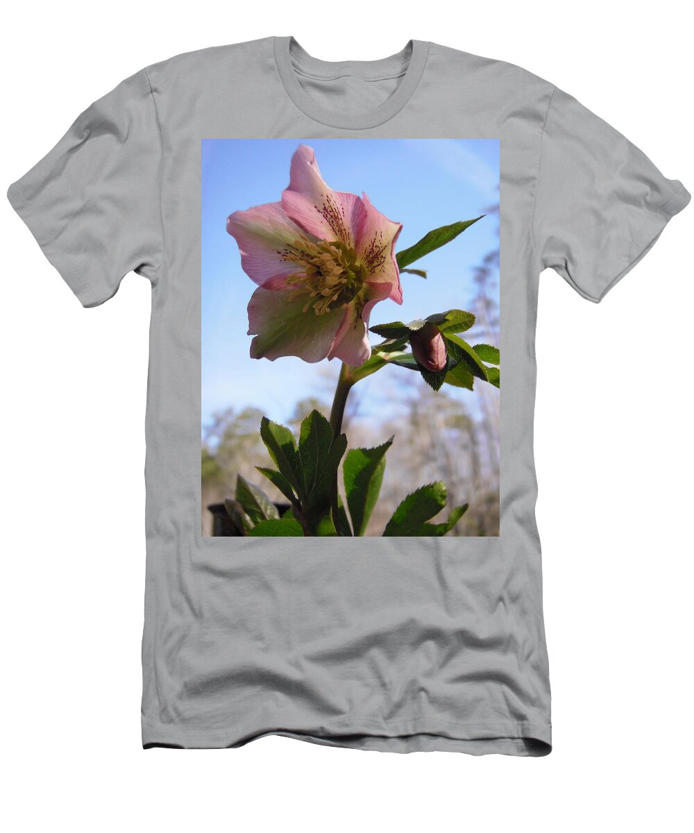 Hellebore T-Shirt featuring the photograph Hellebore Morning by Nicole Angell
