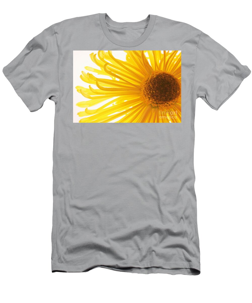 Daisy T-Shirt featuring the photograph Hello Sunshine by Julie Lueders 