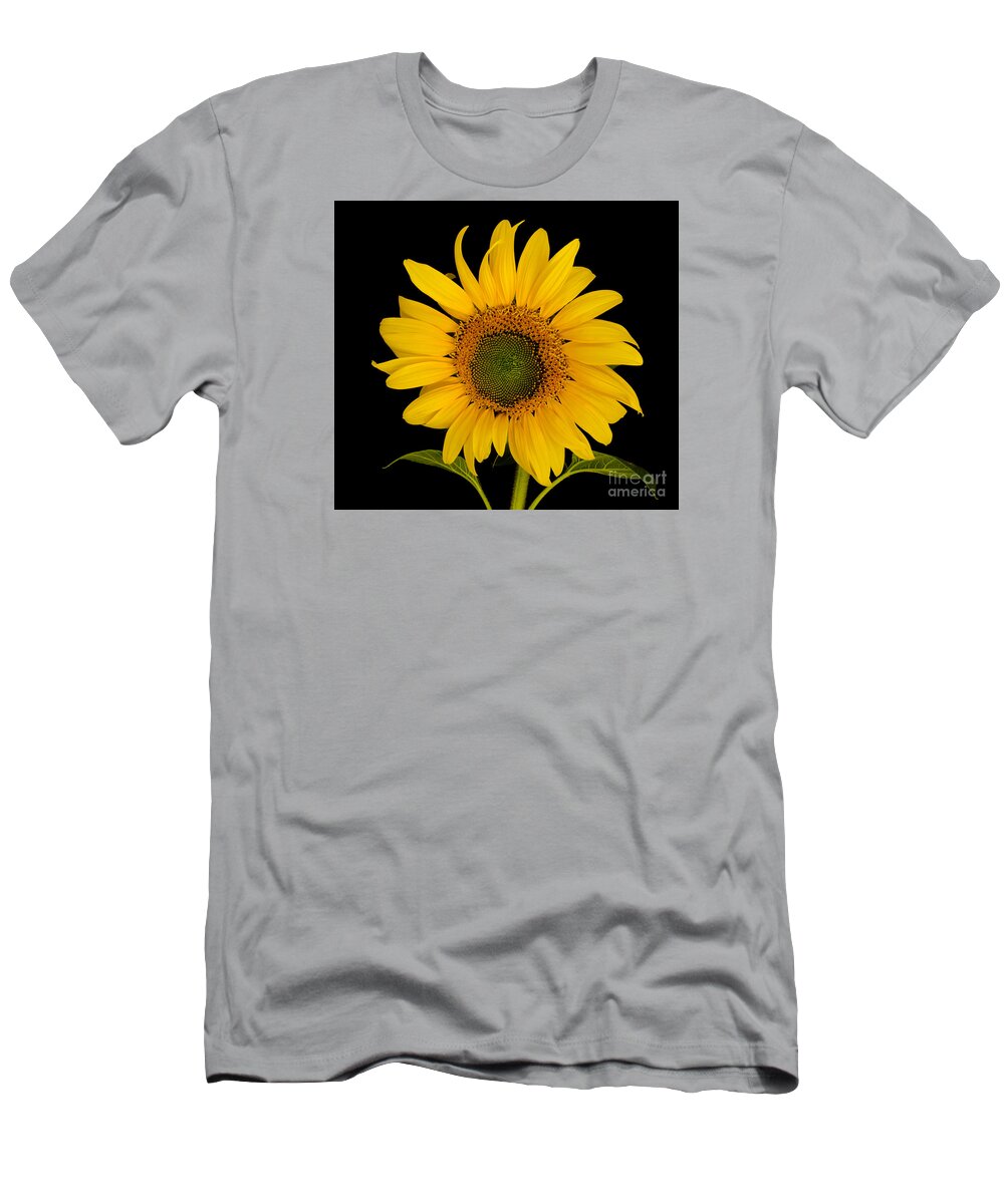Oregon T-Shirt featuring the photograph Hello Sunshine by Nick Boren