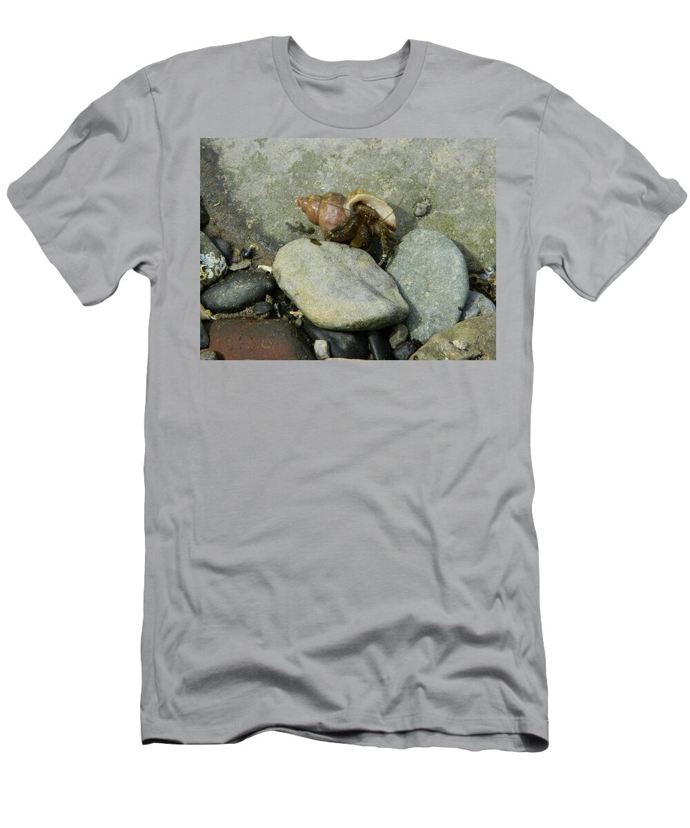 Crabs T-Shirt featuring the photograph Hermit Crab Walking by Gallery Of Hope 