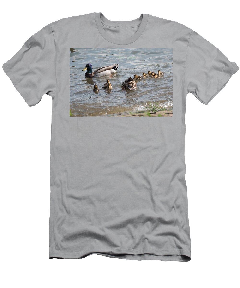 Mallards T-Shirt featuring the photograph Hey Mom What Are You Doing by Holden The Moment