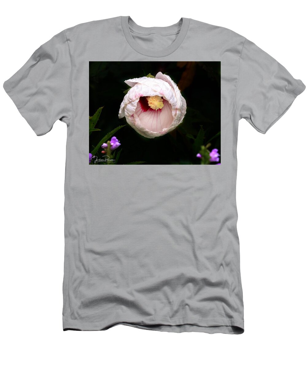 Hibiscus T-Shirt featuring the photograph Hibiscus in bloom by Jackson Pearson