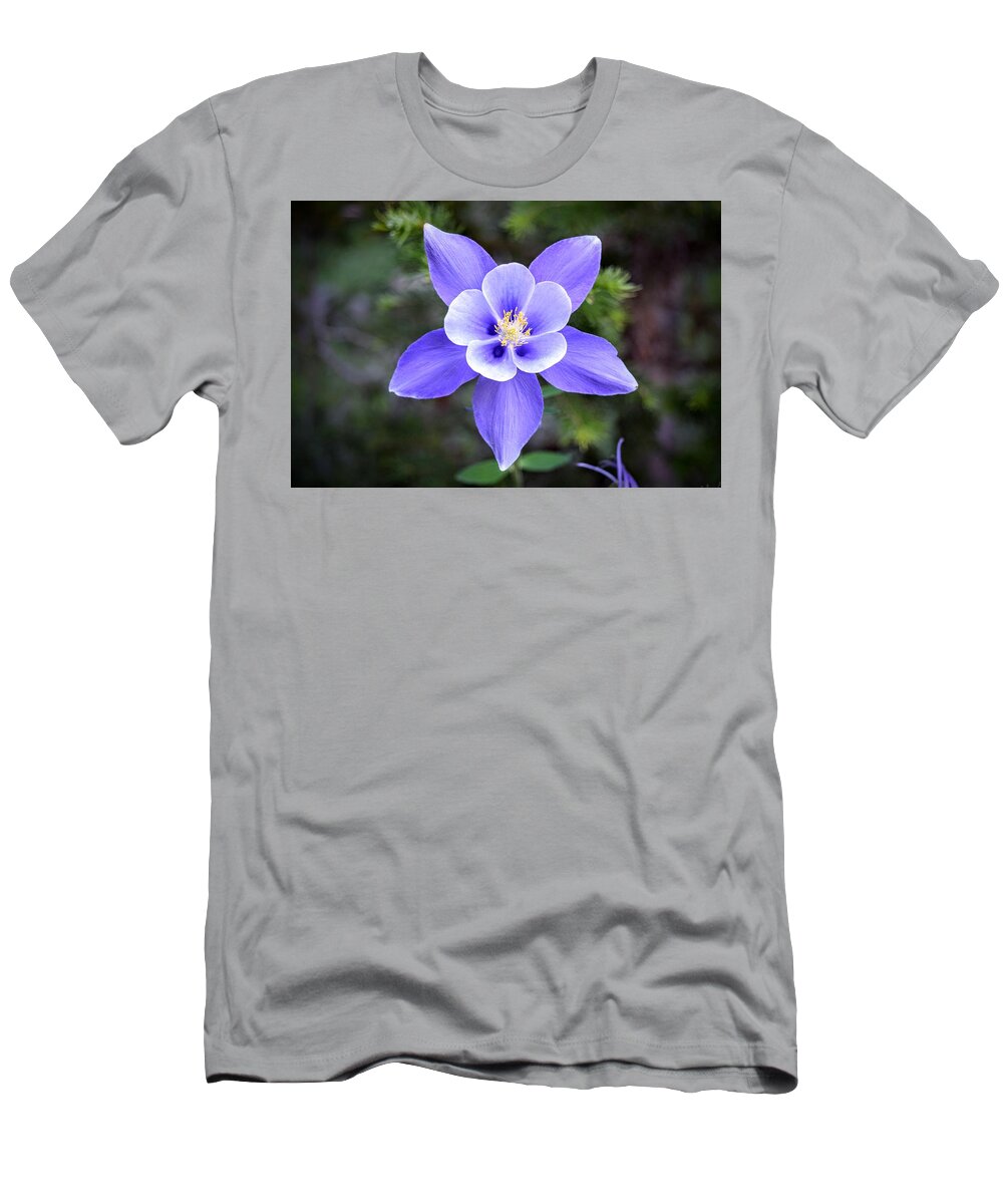 Columbine T-Shirt featuring the photograph High Country Columbine by Michael Brungardt