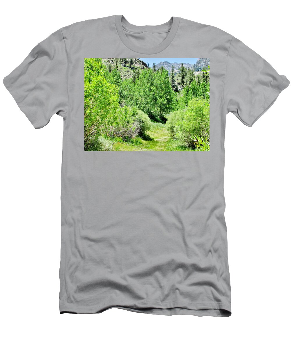 Sky T-Shirt featuring the photograph High Sierra Summer by Marilyn Diaz
