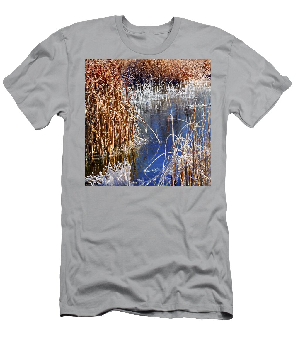 Hoar Frost T-Shirt featuring the photograph Hoar Frost on Reeds by Marilyn Hunt