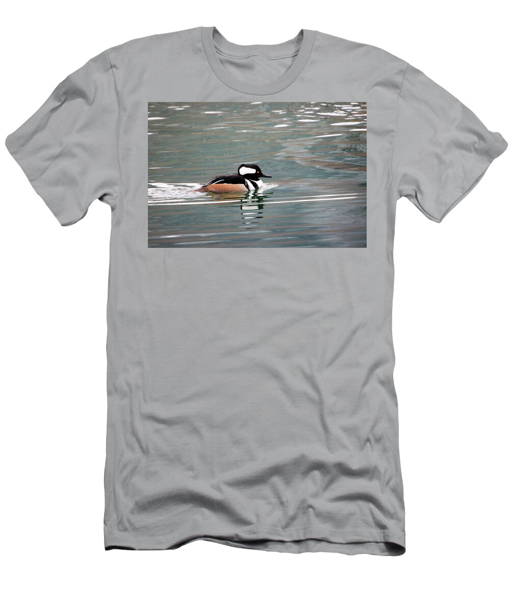 Gary Hall T-Shirt featuring the photograph Hooded Merganser 4 by Gary Hall