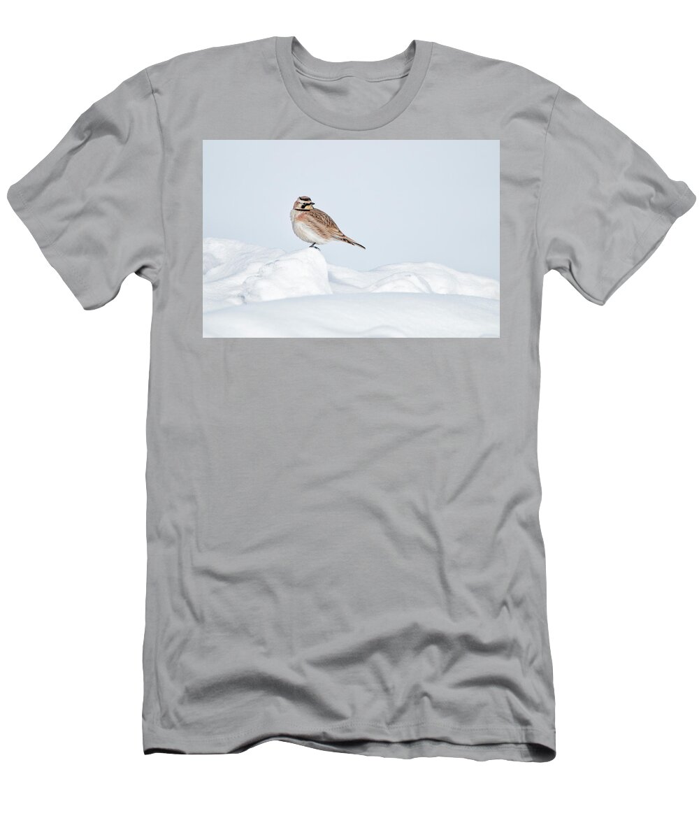 Bird T-Shirt featuring the photograph Horned Lark by Celine Pollard