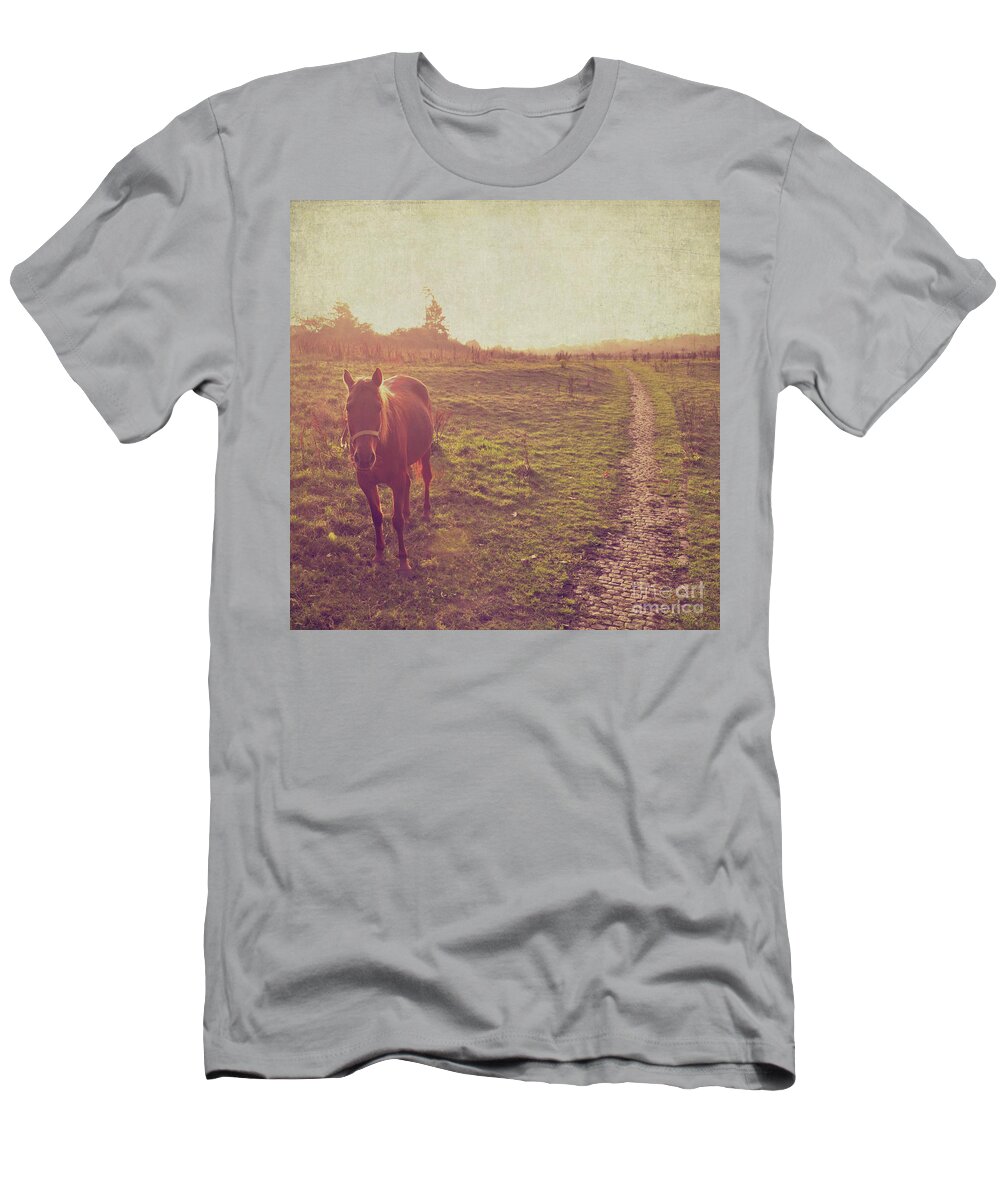 Horse T-Shirt featuring the photograph Horse by Lyn Randle