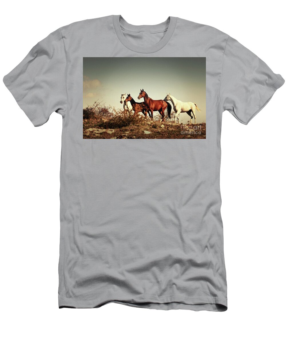 Horses T-Shirt featuring the photograph Horses running stallions - Black and White by Dimitar Hristov