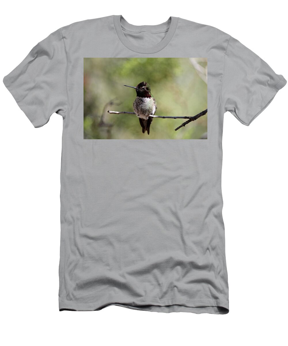 Hummingbird T-Shirt featuring the photograph Hummingbird - 5 by Christy Pooschke
