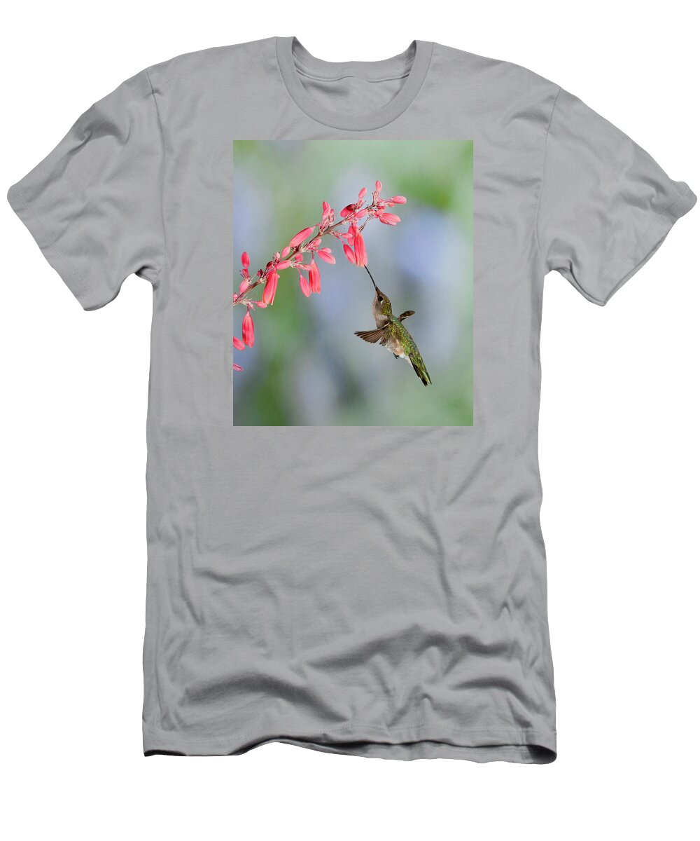 Hummingbird T-Shirt featuring the photograph Hummingbird by Alan Toepfer