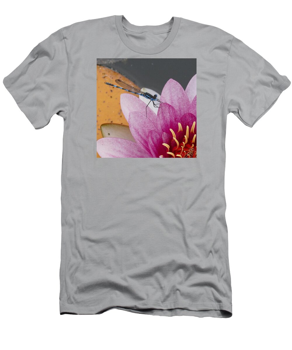 Plant; Flower; Blossom; Pond; Animal; Dragon Fly; Insect; Blue; Water Lily; Pink; Macro; Close-up; Australia; T-Shirt featuring the photograph I Know You by Evelyn Tambour