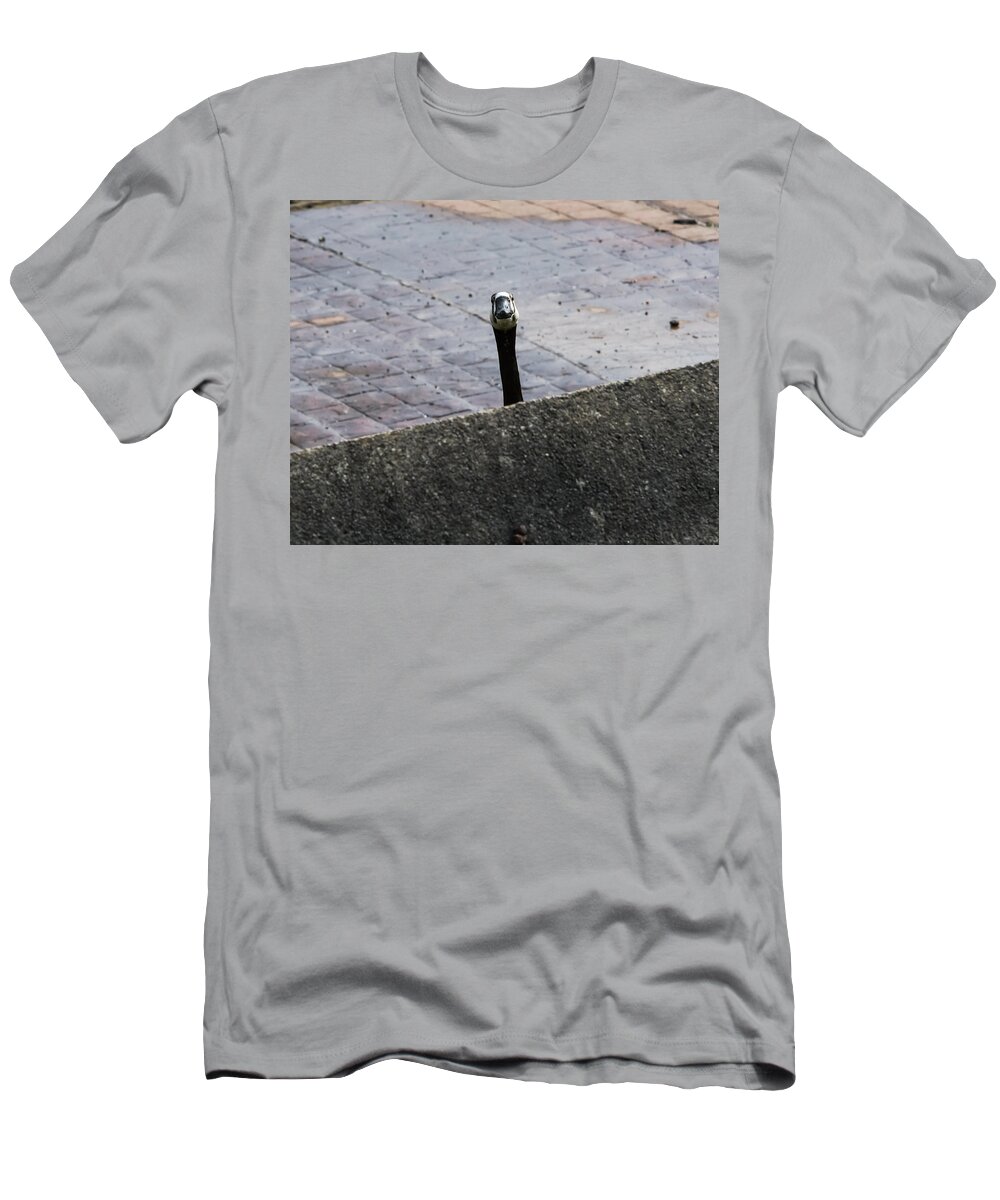 Jan Holden T-Shirt featuring the photograph I See You by Holden The Moment