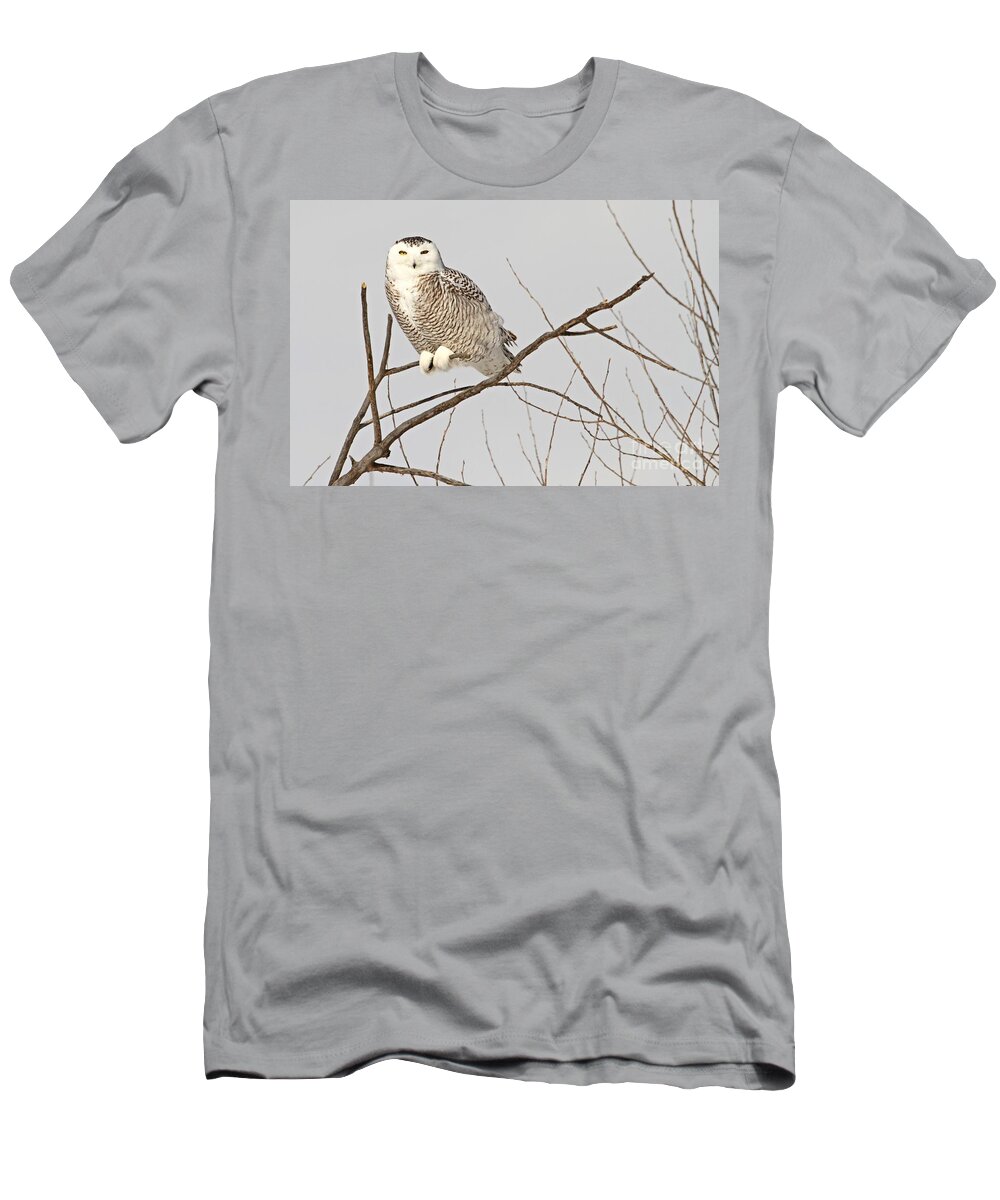 Owl T-Shirt featuring the photograph I spy with my yellow eye by Heather King