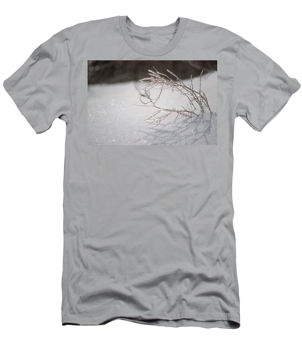 Ice T-Shirt featuring the photograph Iced by DArcy Evans