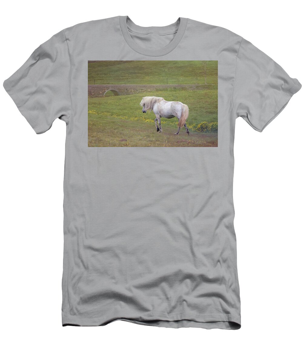 Iceland T-Shirt featuring the photograph Icelandic Horse by Tom Singleton