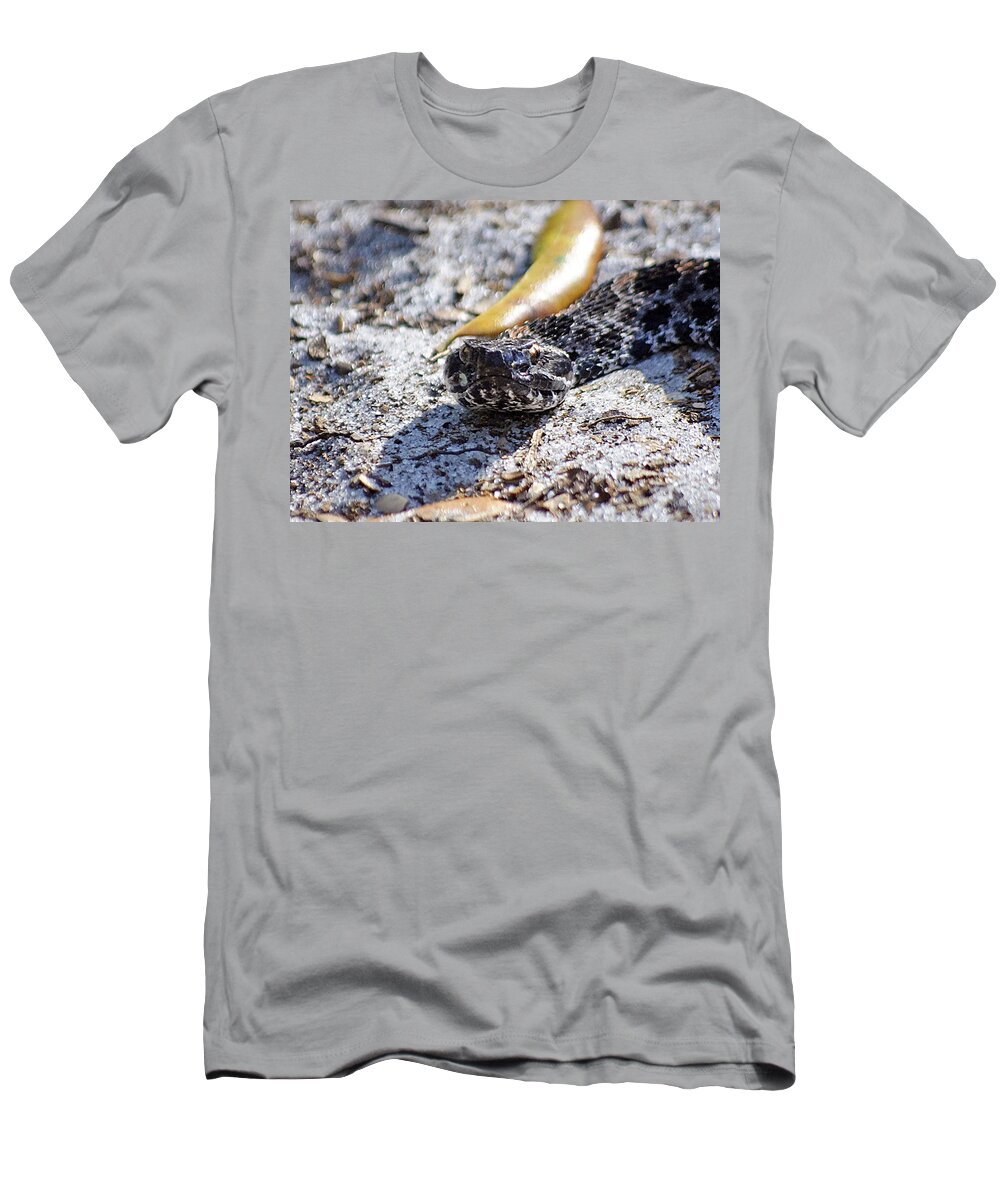 Wildlife T-Shirt featuring the photograph If Looks Could Kill by Kenneth Albin
