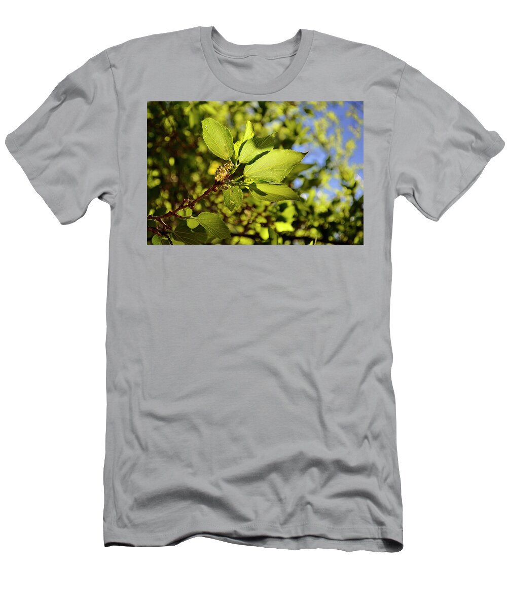 Landscape T-Shirt featuring the photograph Illuminated Leaves by Ron Cline