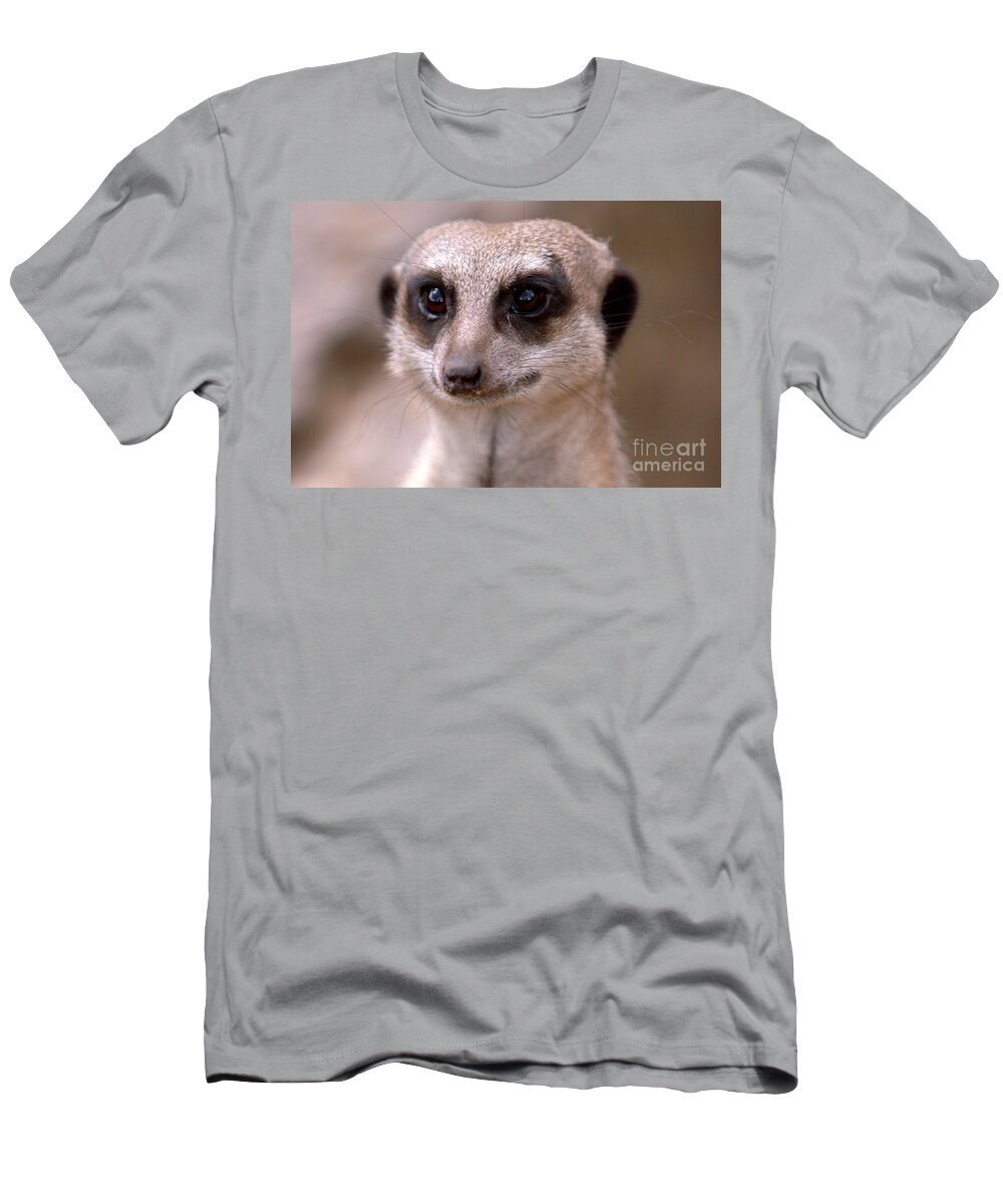 Animal. Meerkat T-Shirt featuring the photograph Im Watching You by Stephen Melia