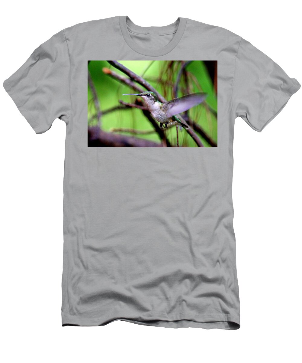 Ruby-throated Hummingbird T-Shirt featuring the photograph IMG-3281-001 - Ruby-throated Hummingbird by Travis Truelove